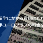 サッカー留学にかかる費用相場はどれくらい？業界最大手のユーロプラスの料金を大公開！