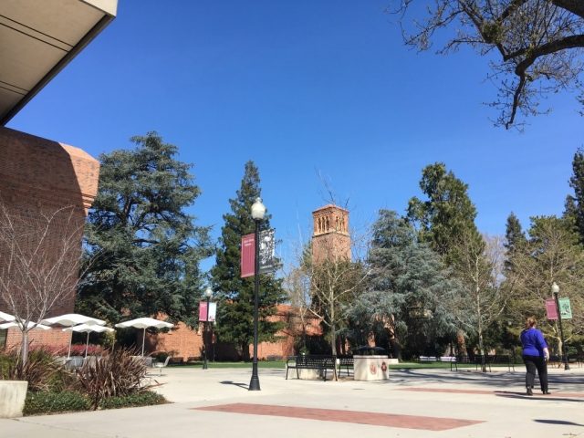 アメリカの大学風景の画像