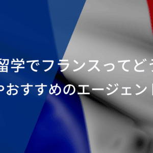 サッカー留学でフランスってどうなの？費用相場やおすすめのエージェントを紹介！