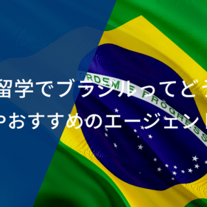 サッカー留学でブラジルってどうなの？費用相場やおすすめのエージェントを紹介！