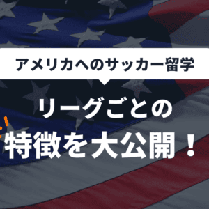 アメリカの大学リーグごとの特徴