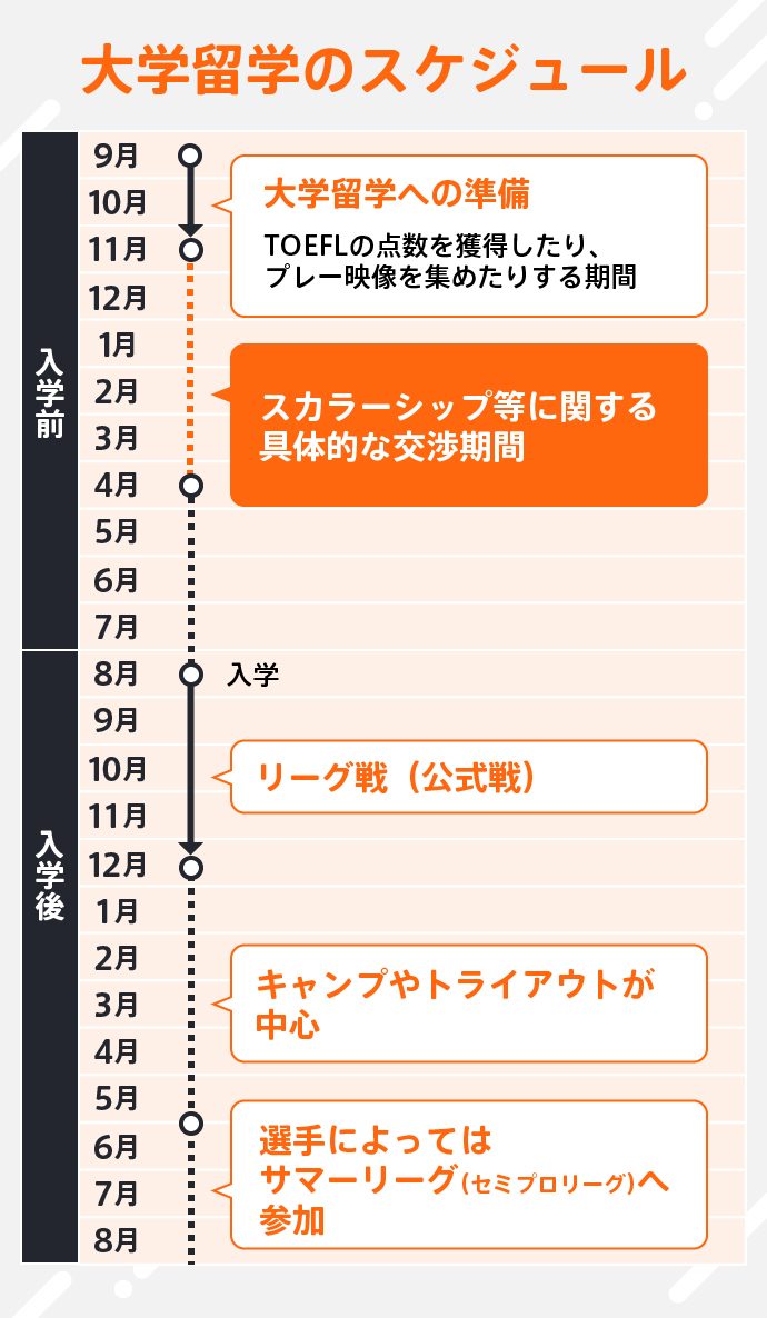 大学留学のスケジュール