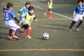LINE_ALBUM_中根SA_220220_5
